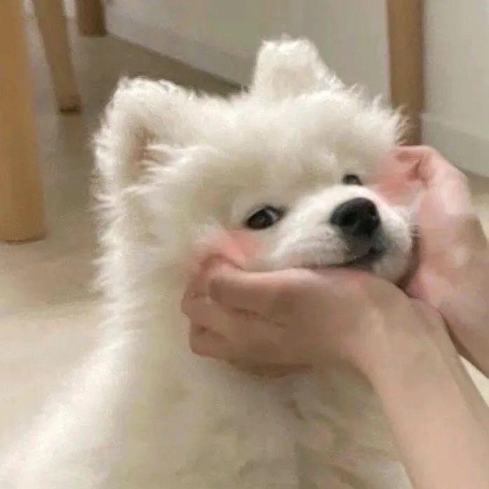 想被大馒头闷死头像