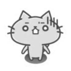 Berliner Vogel（恩师黄夫人