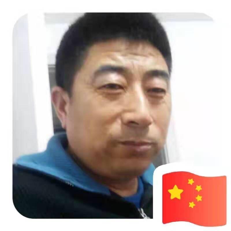 盘锦阿童木犬业