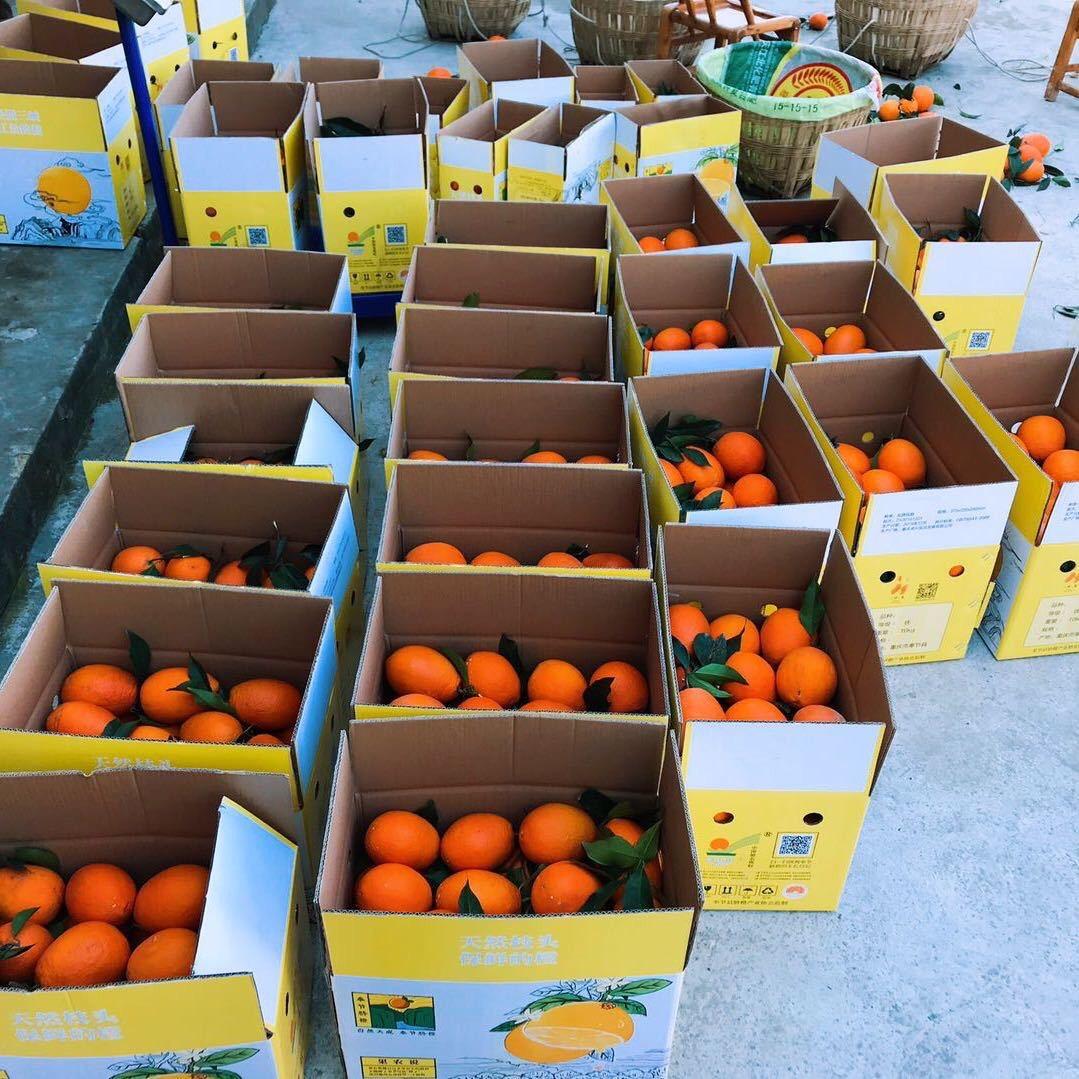 奉节脐橙🍊🍊🍊