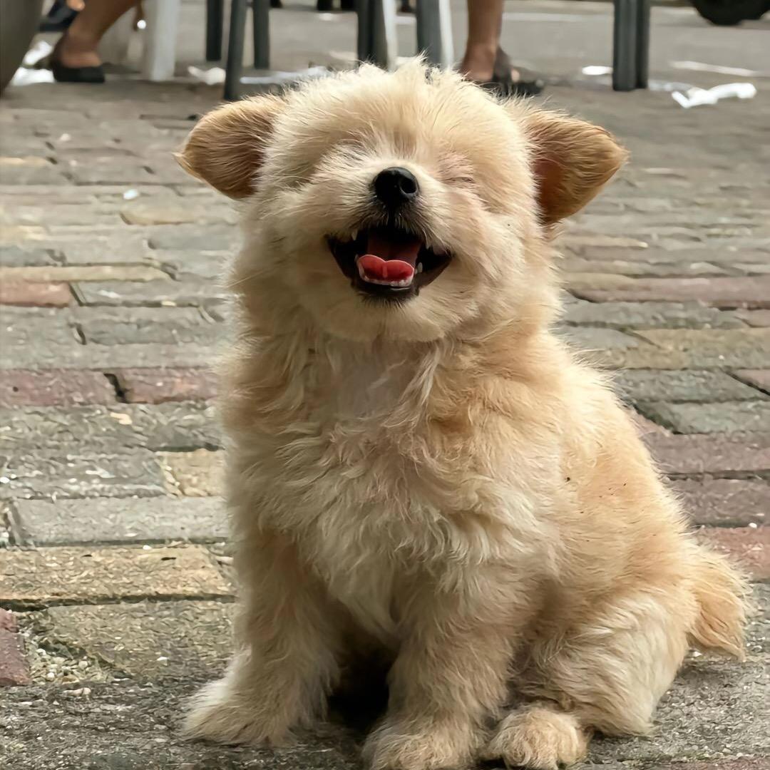 有家有爱有你❤️