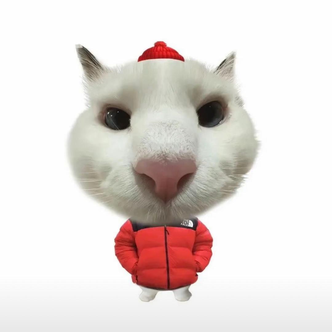 小猫殿下