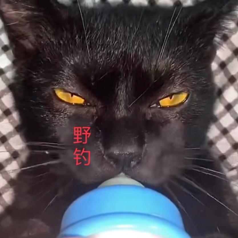 毒毒毒