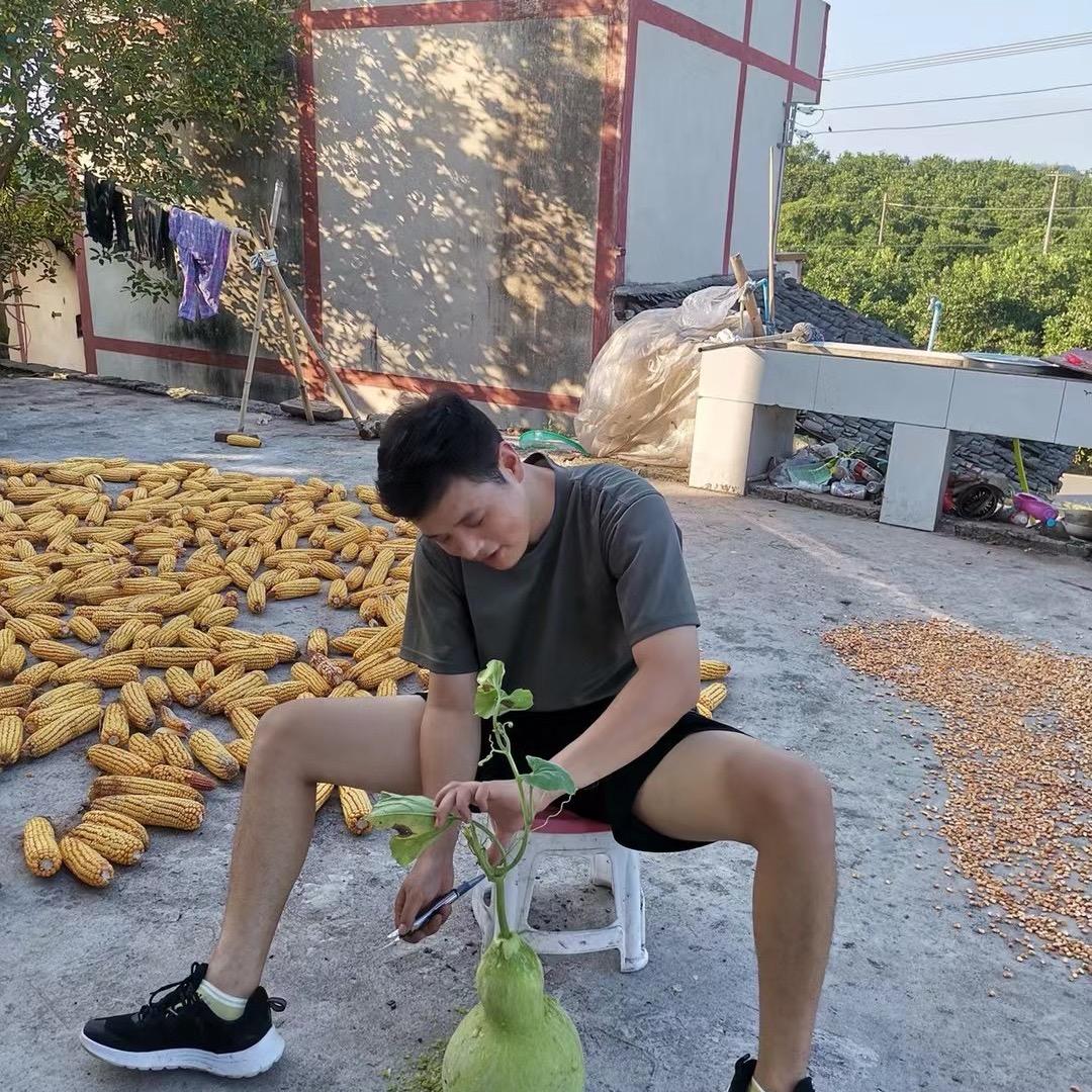 云南昭通小草坝天麻直发（小李哥）