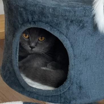 奇妙的小樱桃🍒