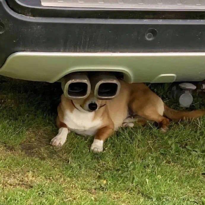 大白馒头真好吃