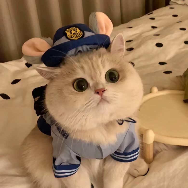 天真的瑞