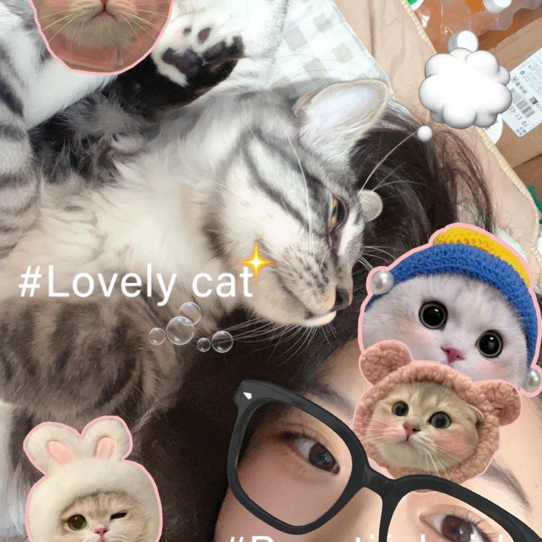 🧀麻薯是只猫🐈