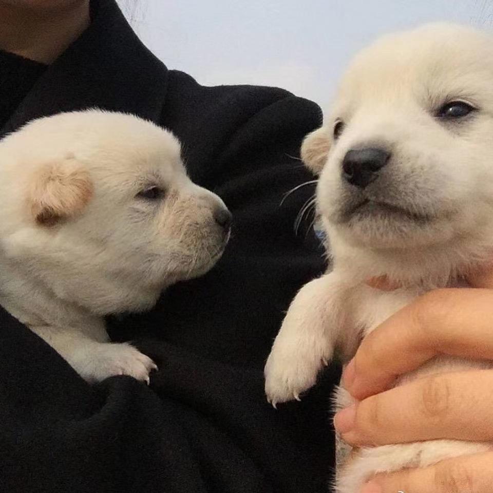智旭。