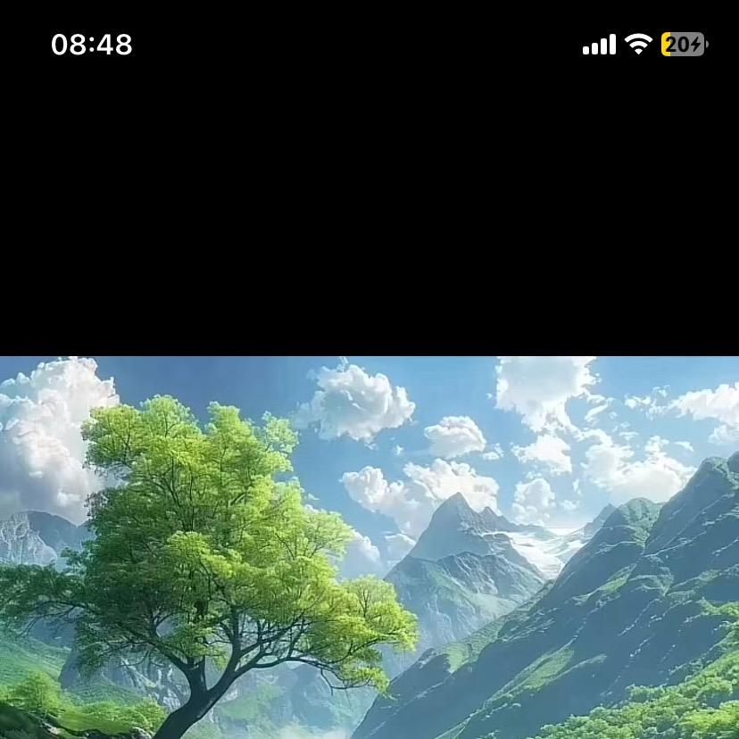 平安甄选