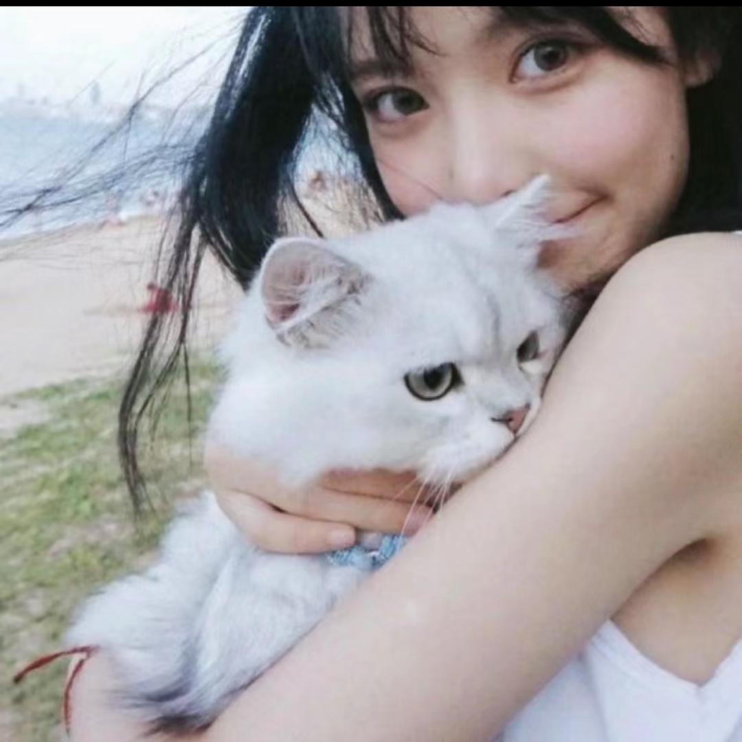 挑食煤气罐🐱
