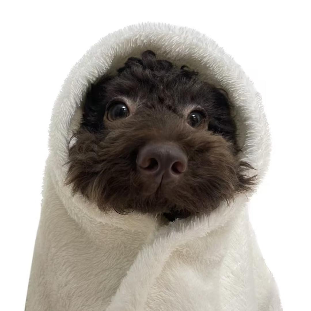 lzhhh