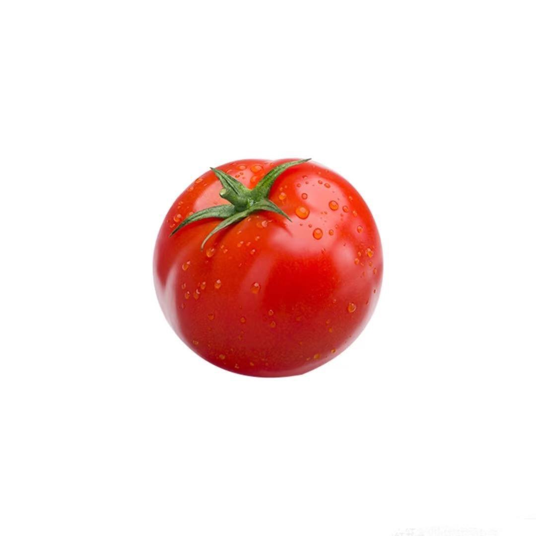 鲤怡的鱼