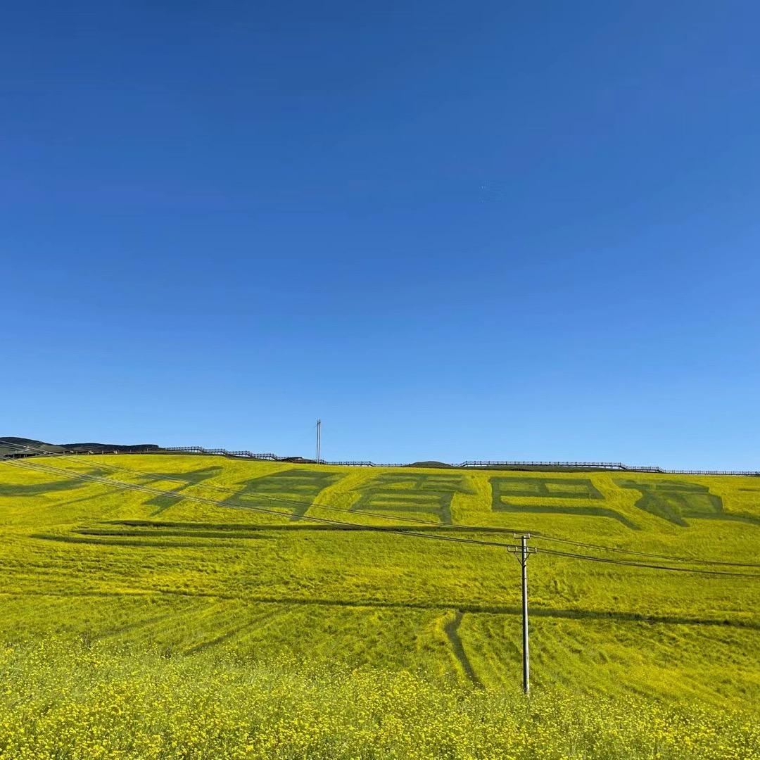 ღ °时过境迁࿐