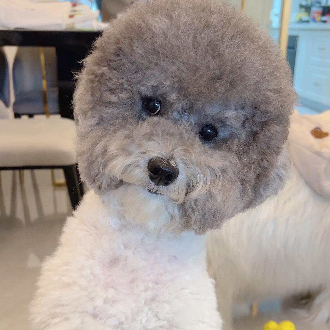 奥莉奥成长日记