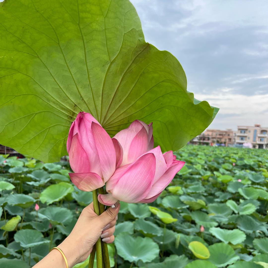 追逐明天