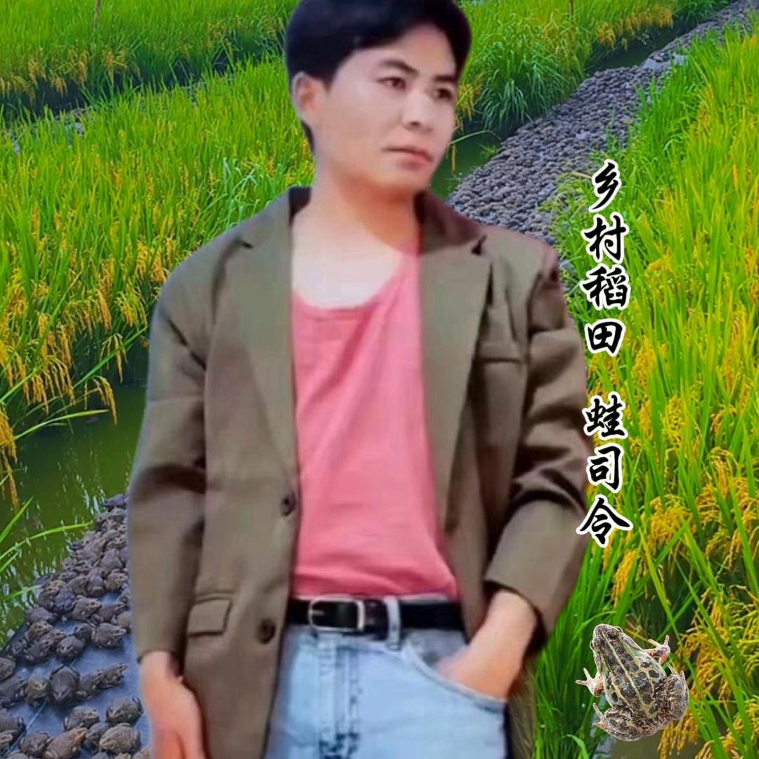 乡村稻田 蛙司令