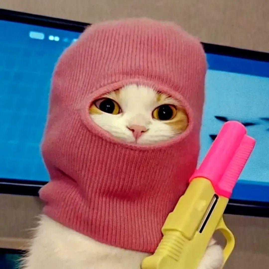 华梓涵　　　　　　　　　　╲