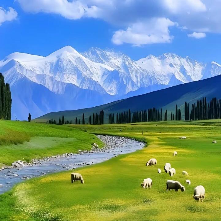 情怀