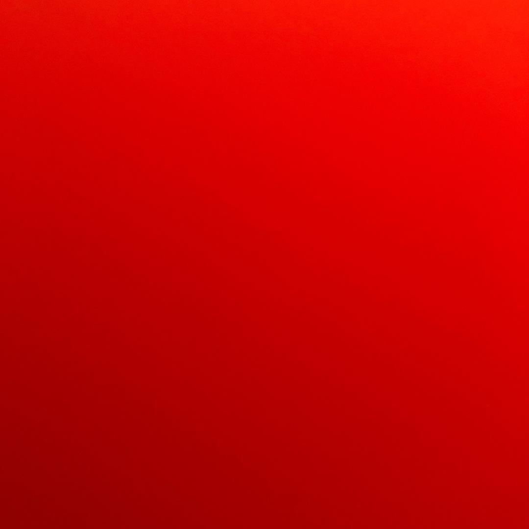 轻羽的