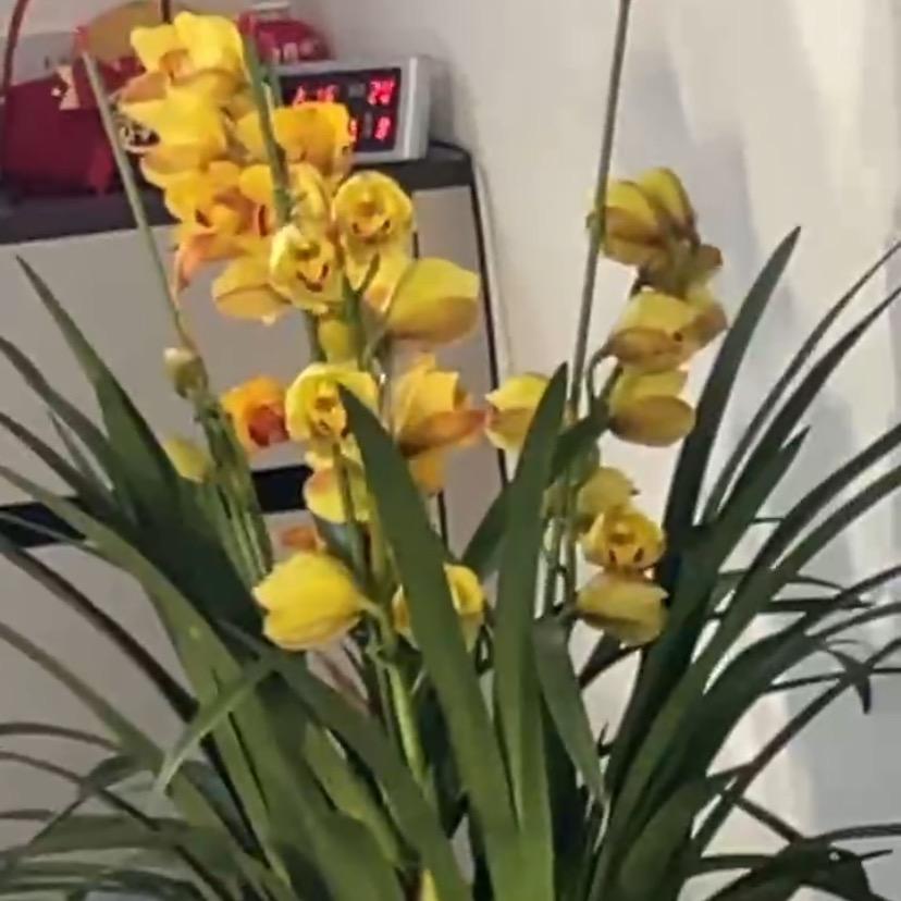 别谈情戒了ོ࿐ᩚ