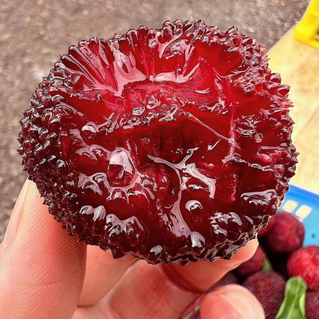 阿鱼的仙居东魁杨梅