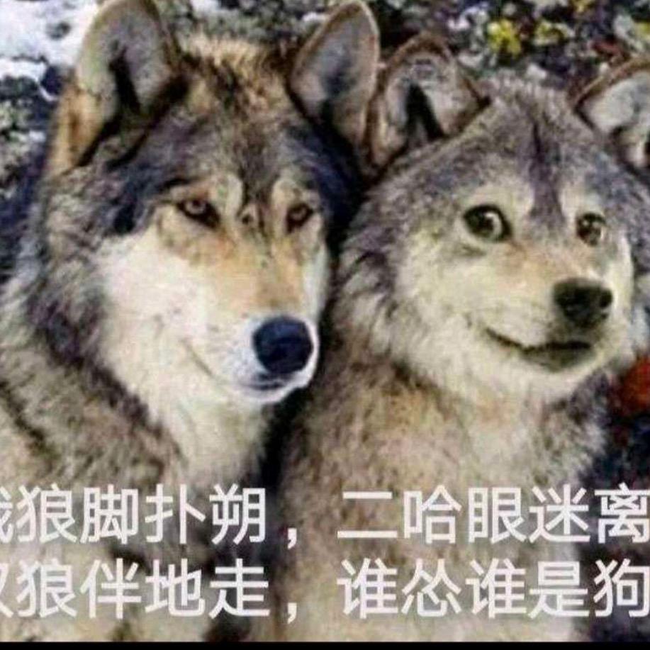 重生之我是陈冠希