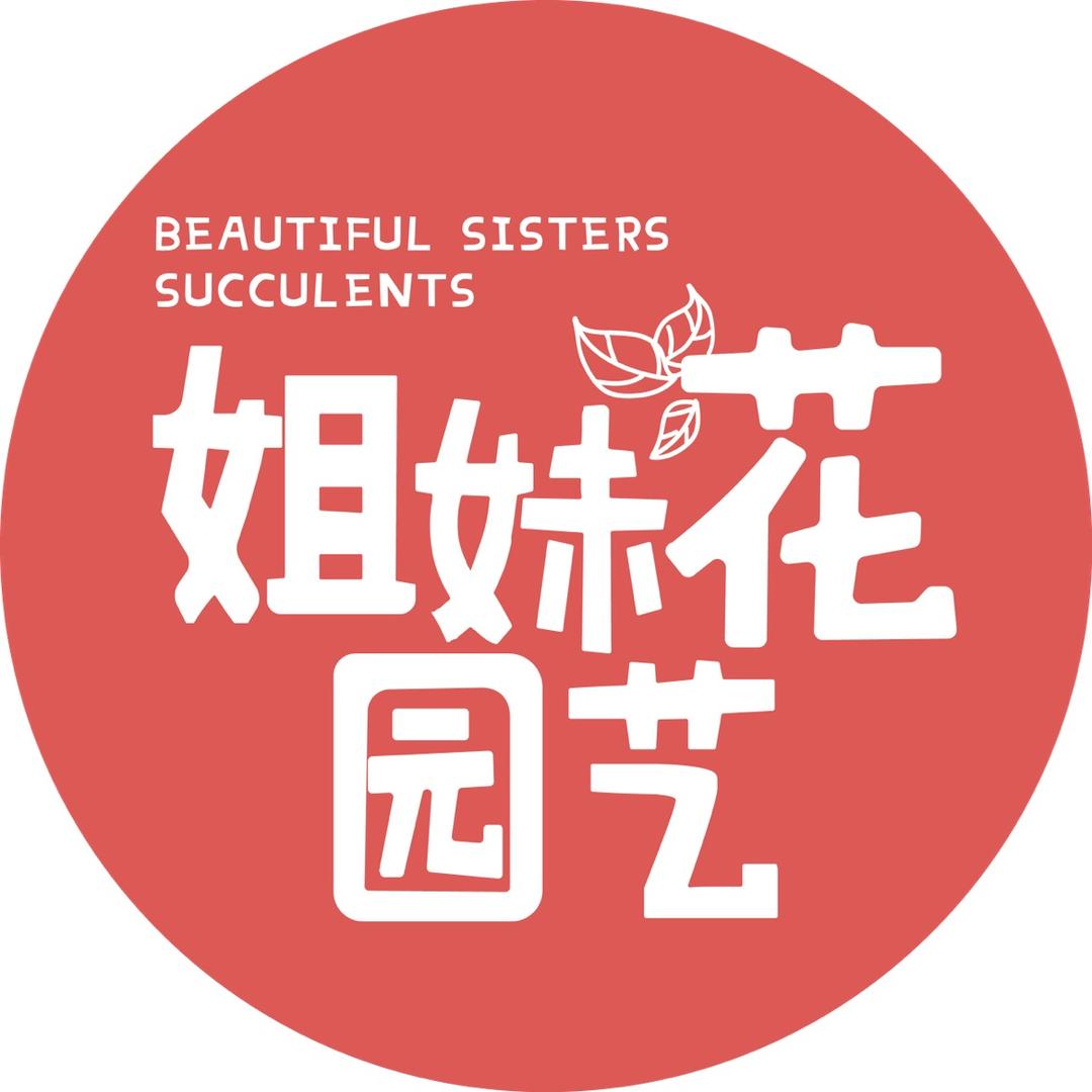 姐妹花儿园艺