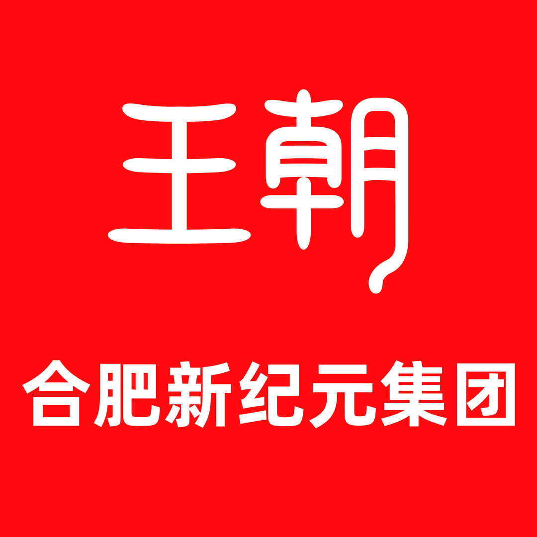 比亚迪王朝｜合肥新纪元