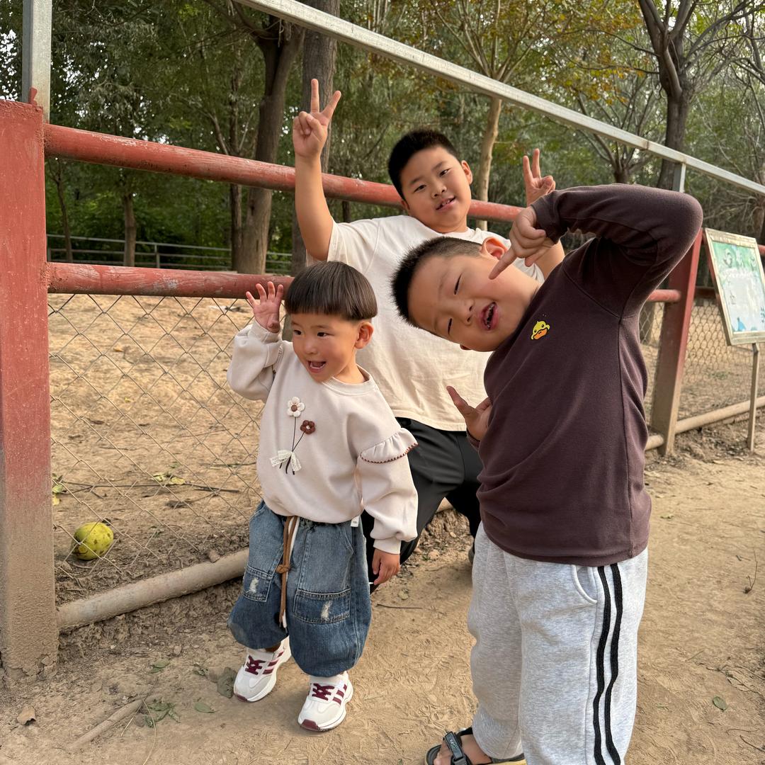 @丹丹姐🍊(生活小妙招）