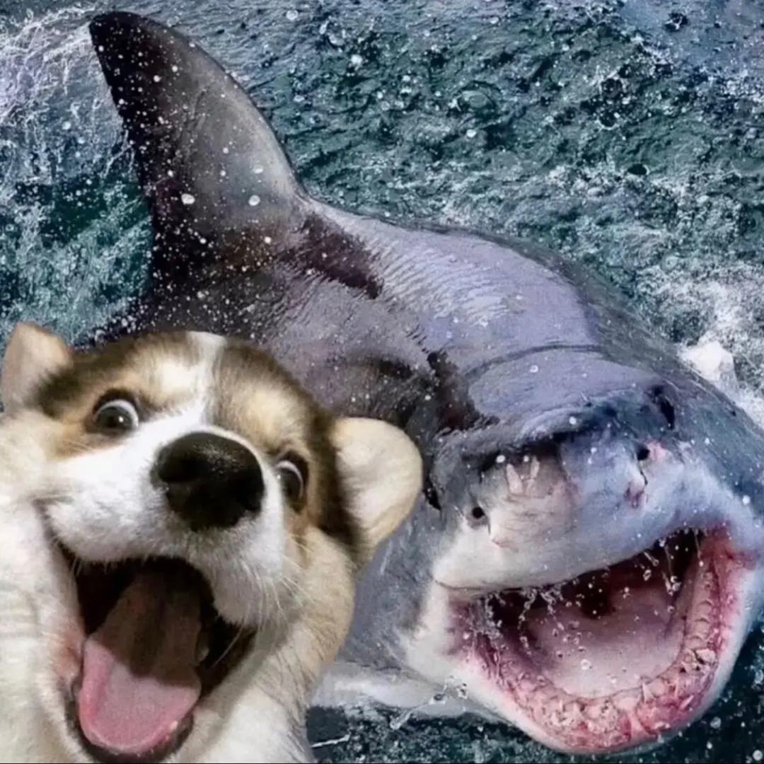 ʜ.