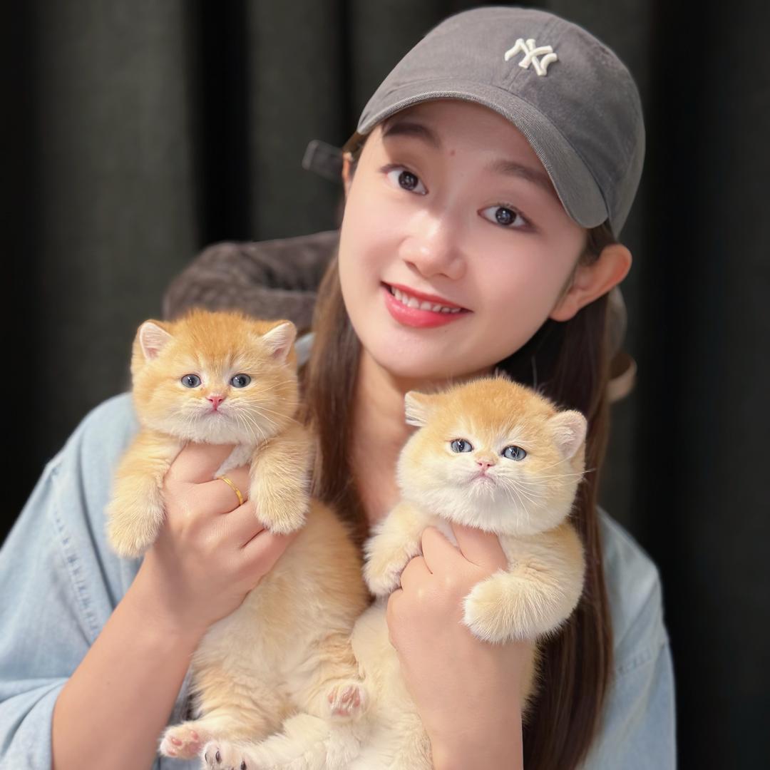 余教练的猫舍