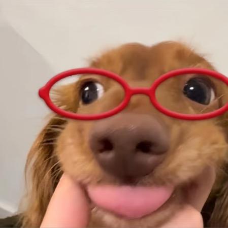 会说话的芒果干^