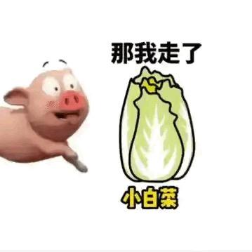 专业拆除铲腻子