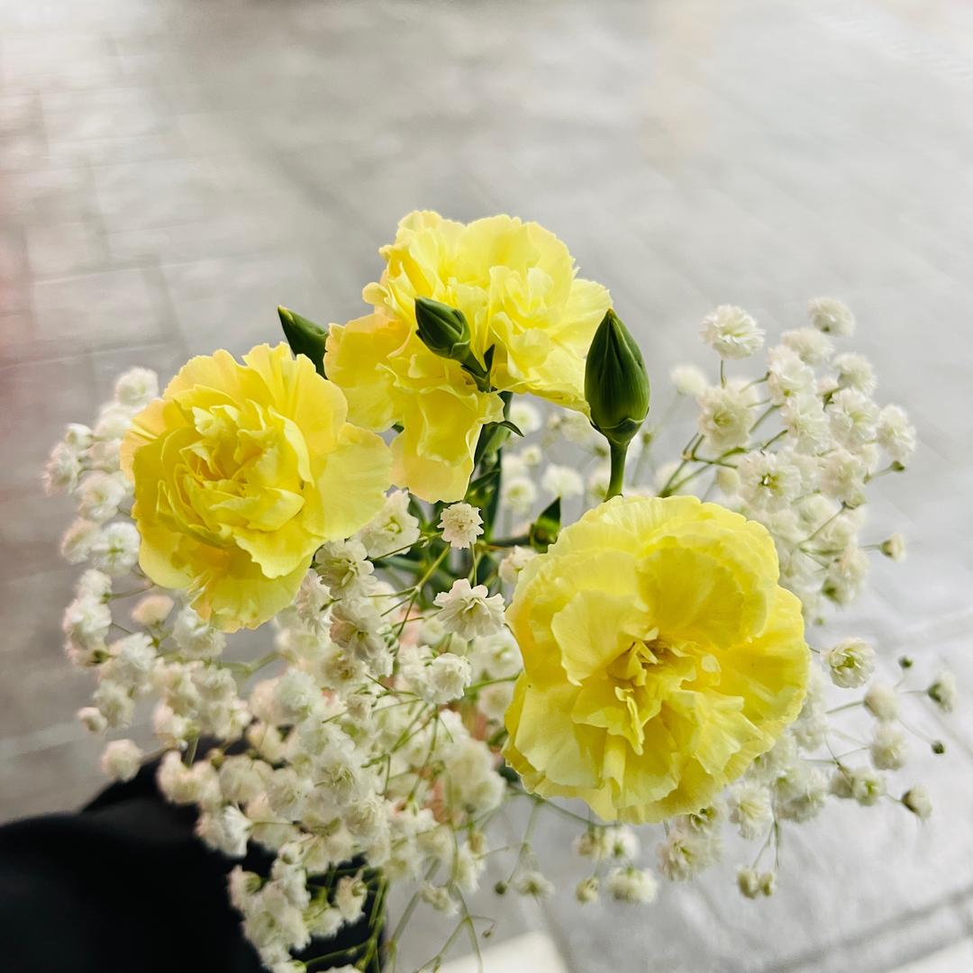 ᥫᩣ zeong_mmm🌼