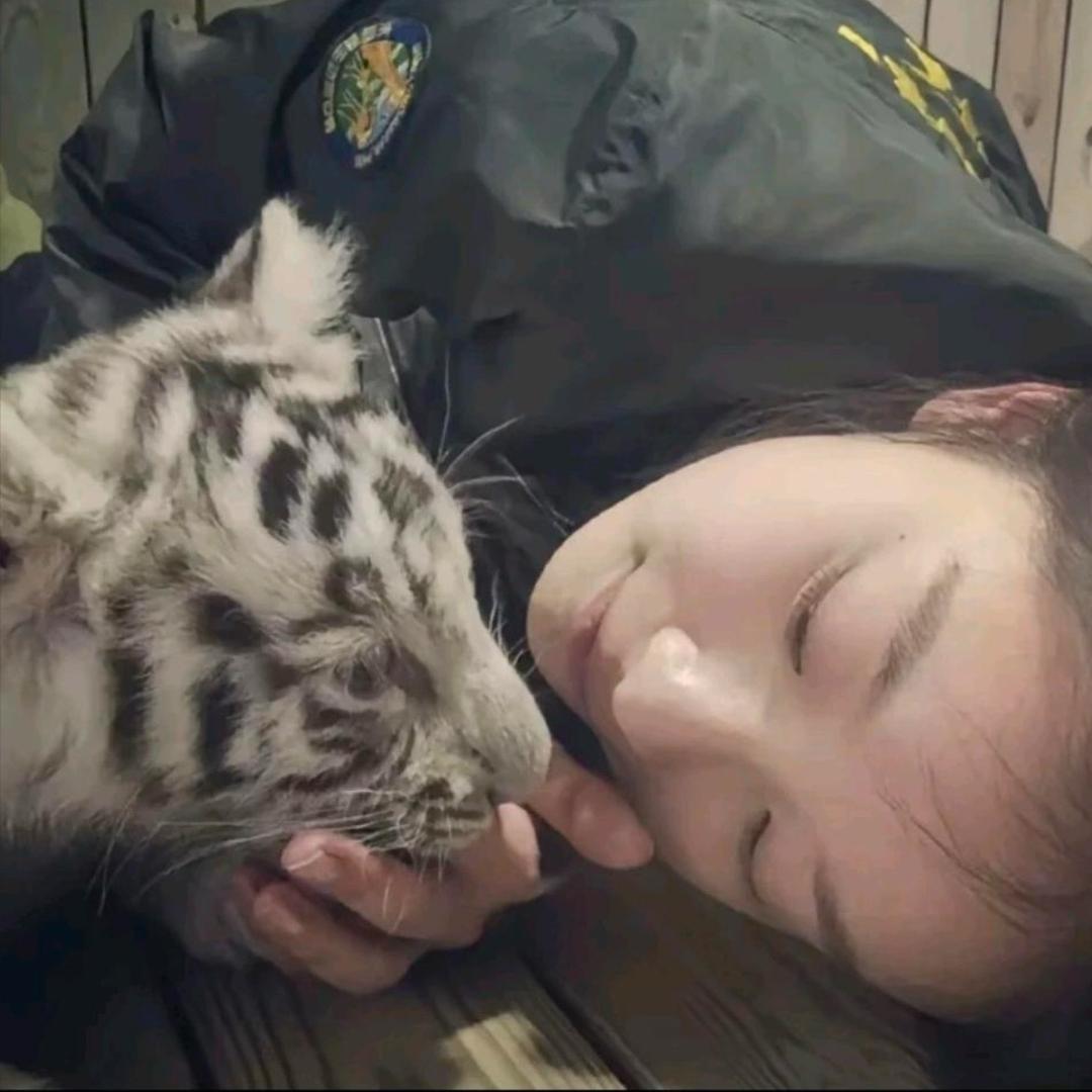 TIAN