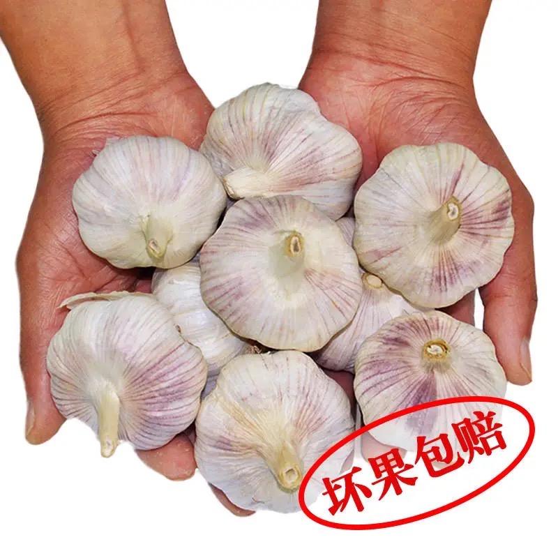 田园香之农产品