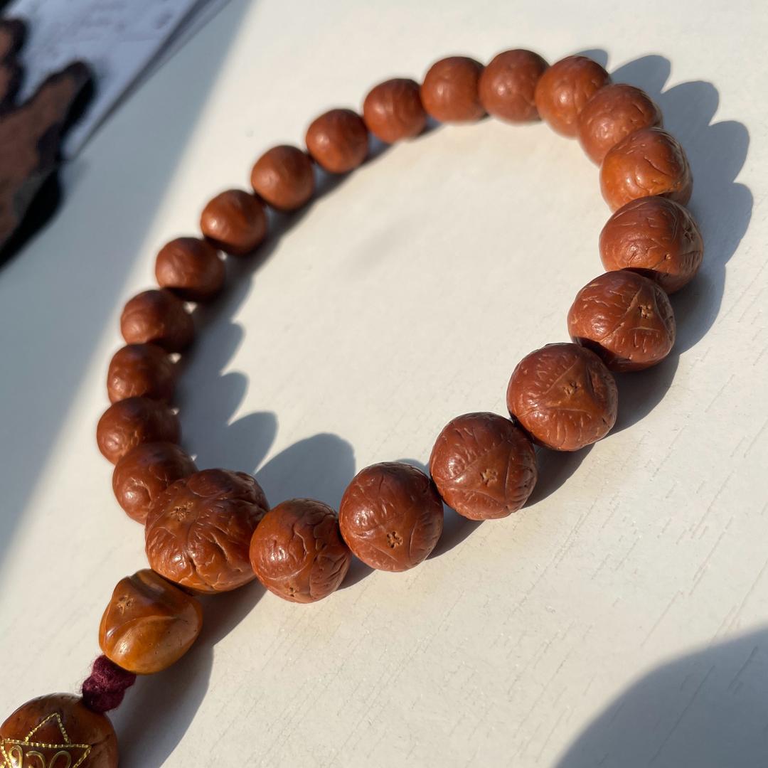 念一凤眼尼泊尔