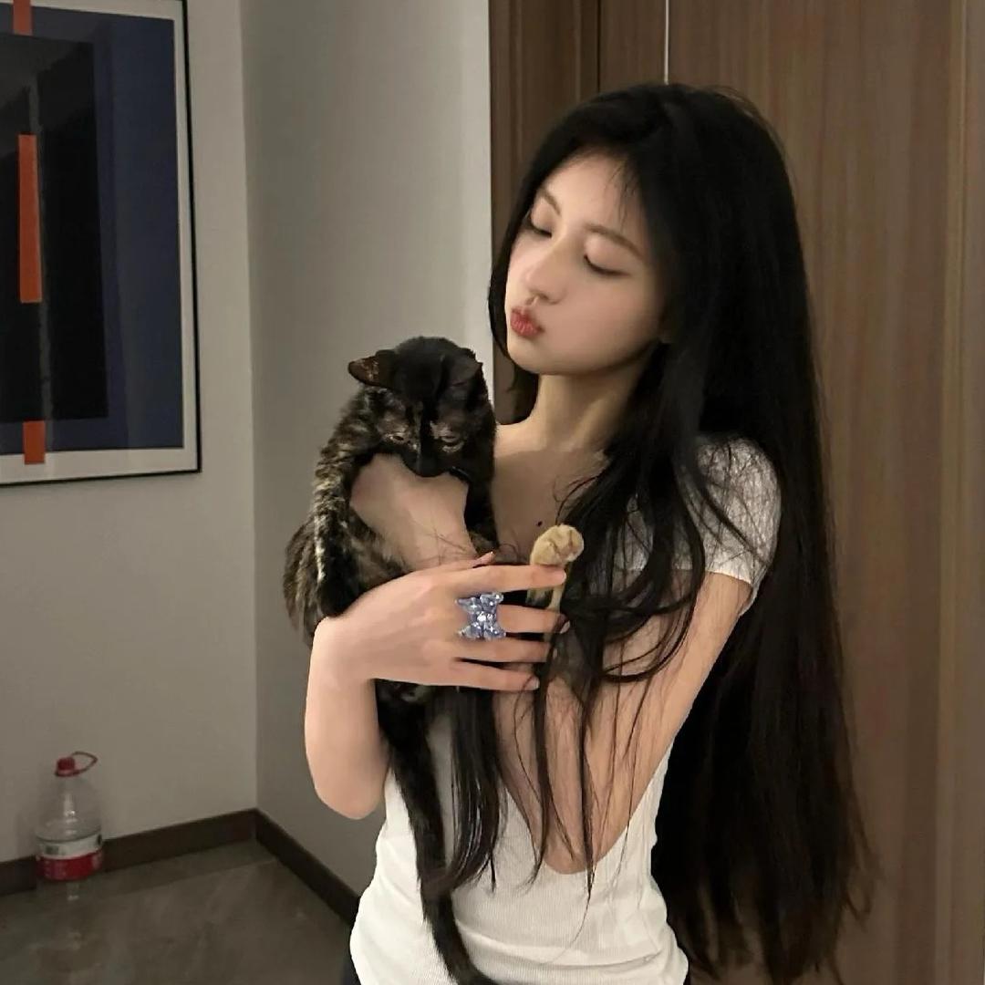 猫猫鱼