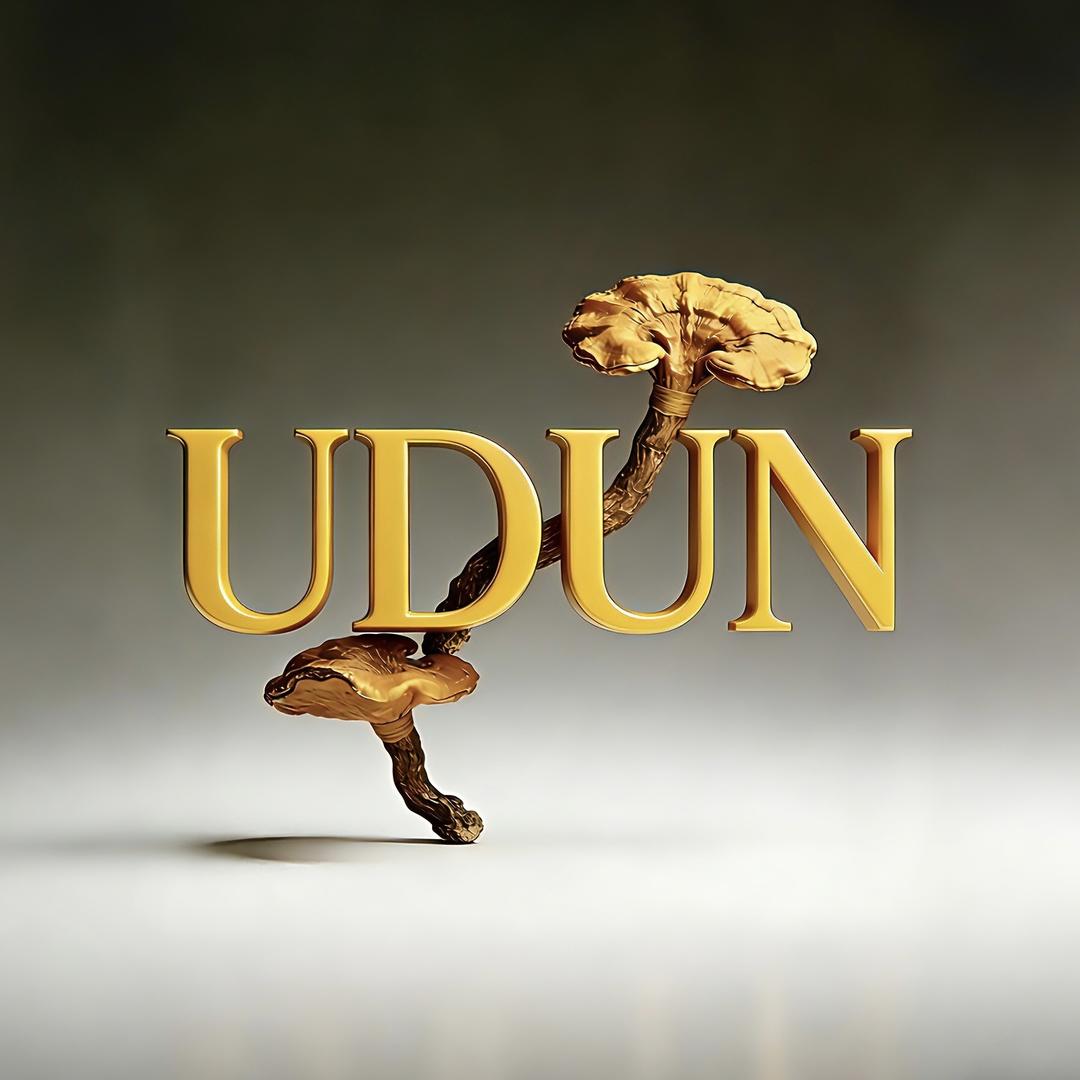 UDUN 和田001号