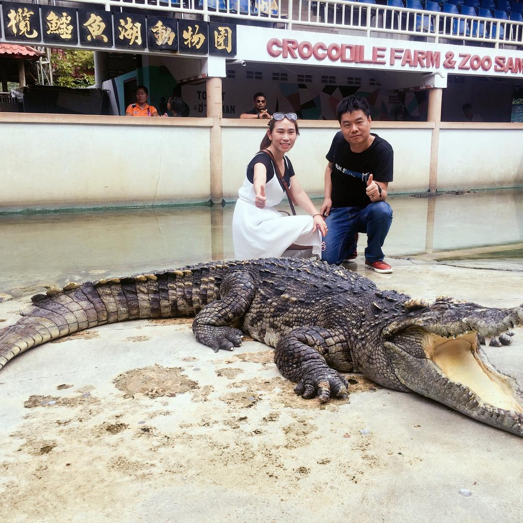 一璐飛扬