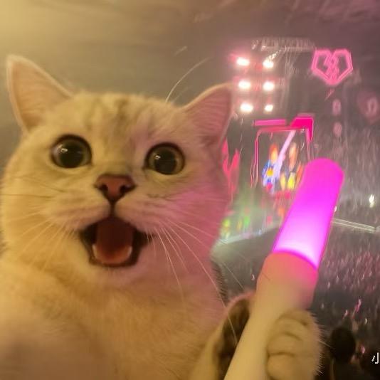 星豆互娱（大表哥）