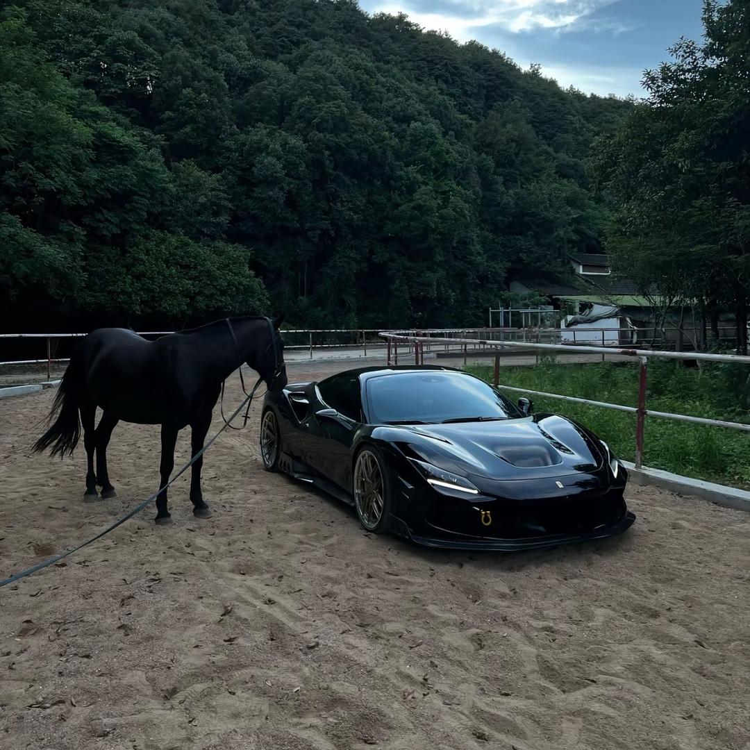 Aziz yar 🐎