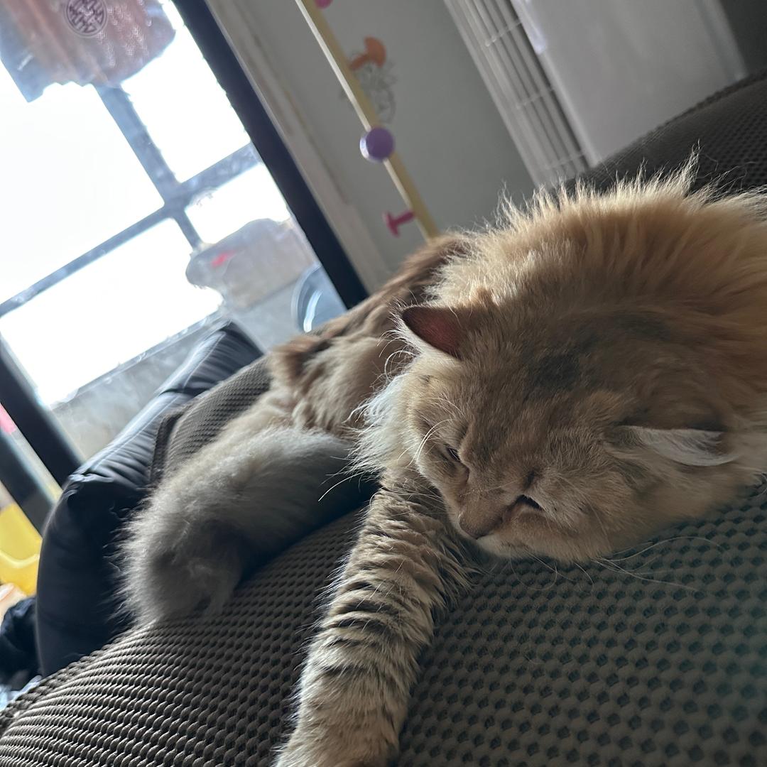 郑州播点啥好文化传媒有限公司