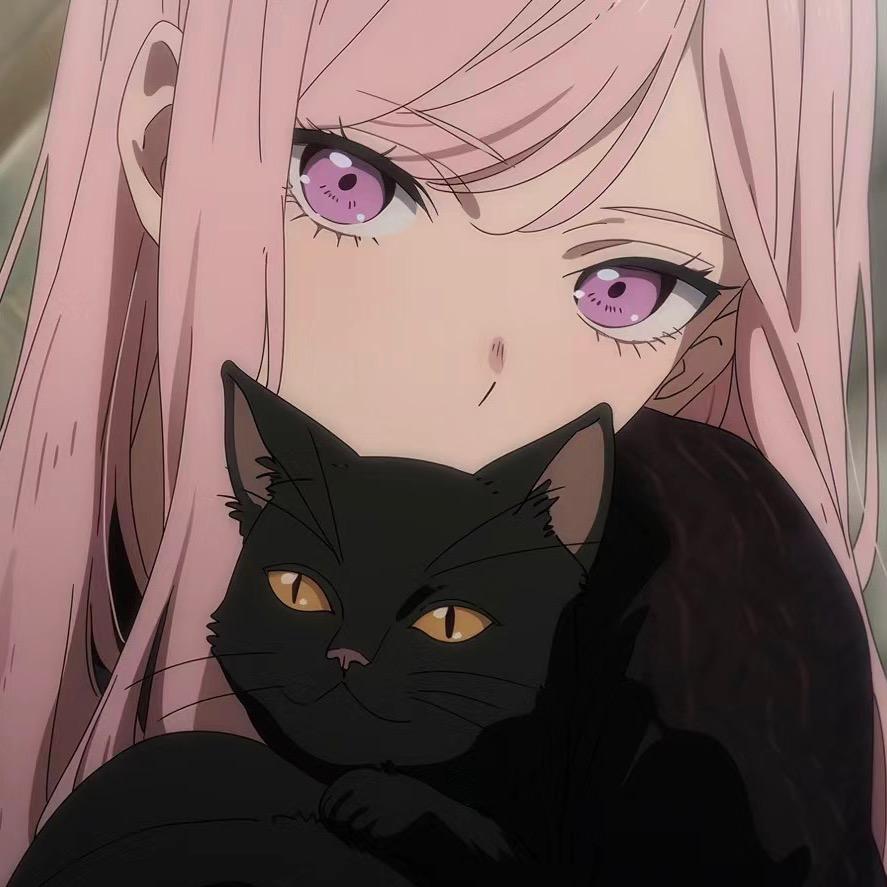 小猫🐱