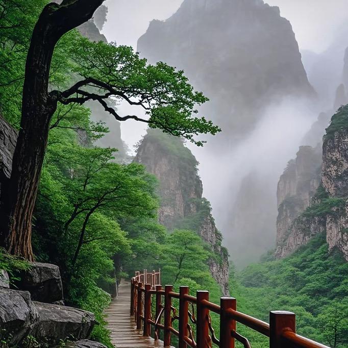 小小蚊好物