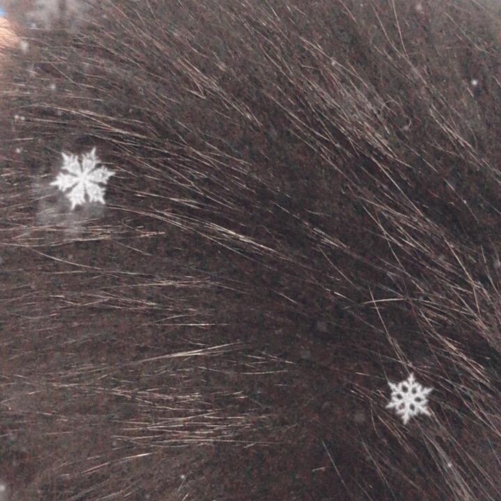 鼠鼠大师（看主页）