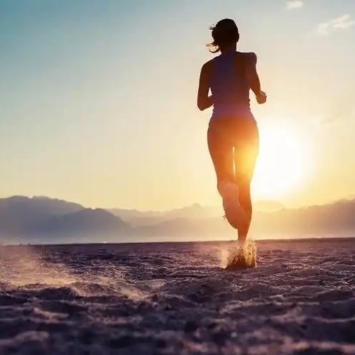 Dapai运动精选上海仓