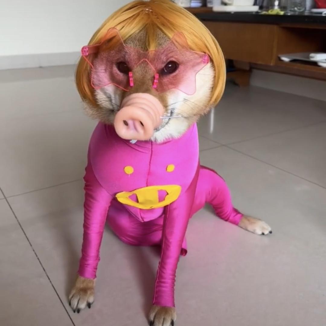 米蹄儿