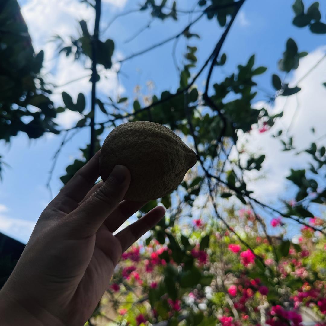 嘉佳珞溪